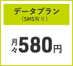 データプラン(sms有り) 月々580円
